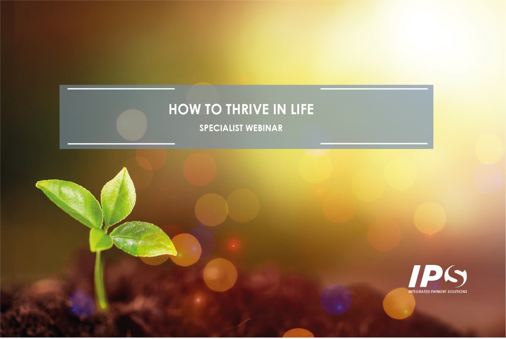 How to Thrive in Life